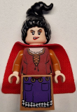 LEGO idea163 Mary Sanderson